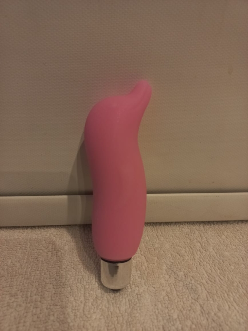 DELFIN VIBRADOR